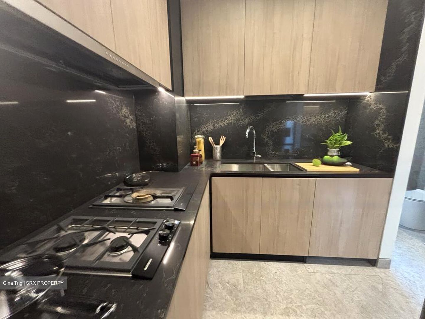 Jervois Privé (D10), Apartment #441301041